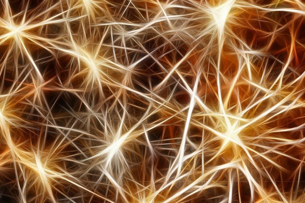 stars, golden, christmas-209371.jpg